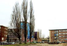 Rijtjeshuizen te koop in Bos en Lommer