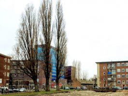 Rijtjeshuizen te koop in Bos en Lommer