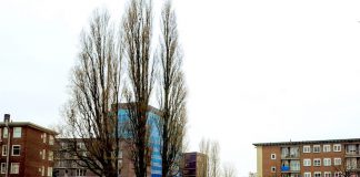 Rijtjeshuizen te koop in Bos en Lommer