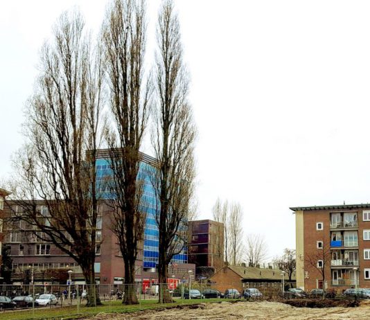 Rijtjeshuizen te koop in Bos en Lommer