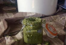 Pesto (zelfgeplukt!) uit De Fruittuin van West