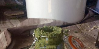 Pesto (zelfgeplukt!) uit De Fruittuin van West