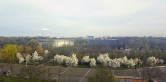 Zonnige groeten uit Het Westerpark