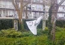 Buurt boos over bomenkap voor luxe bungalows