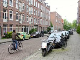 ‘Oud-West moet duurzamer en groener’