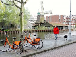 Stadsdeel dreigt met wegknippen huurfietsen Huurfietsen Donkey Republic bij molen De Otter in Amsterdam-West