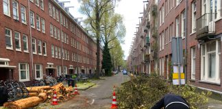 Bomen weg voor opknapbeurt Frederik Hendrikbuurt