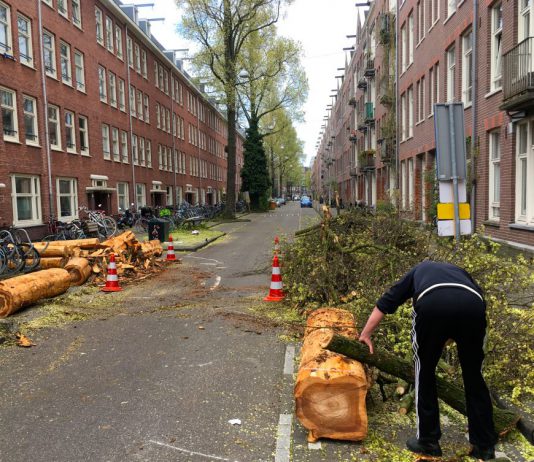 ‘Plaats bord bij boom die wordt gekapt’
