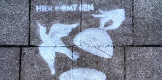 Hier kun je Bevrijdingsdag vieren in West en Nieuw-West