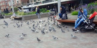 Gemeente belooft extra handhaving Mercatorplein