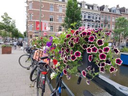 Bruggen Oud-West weer opgefleurd