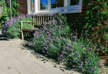 Tuintje ruilen en andere tips voor lekker tuinieren in West