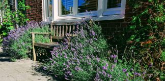 Tuintje ruilen en andere tips voor lekker tuinieren in West