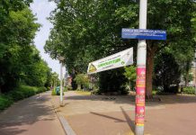 Domelaplantsoen volgend jaar eindelijk echt groen