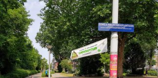 Domelaplantsoen volgend jaar eindelijk echt groen