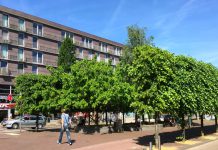 Drinken Gulden Winckelplantsoen mag niet meer