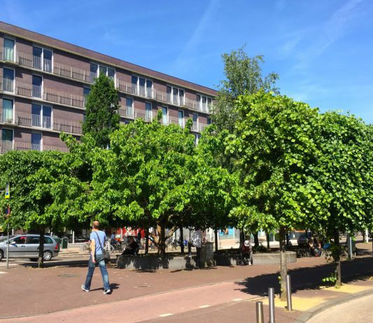 Drinken Gulden Winckelplantsoen mag niet meer