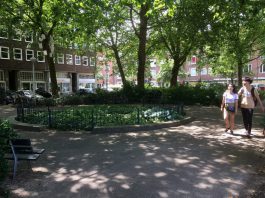 Plantsoen Solebaystraat straks lichter en gezelliger