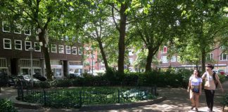 Plantsoen Solebaystraat straks lichter en gezelliger