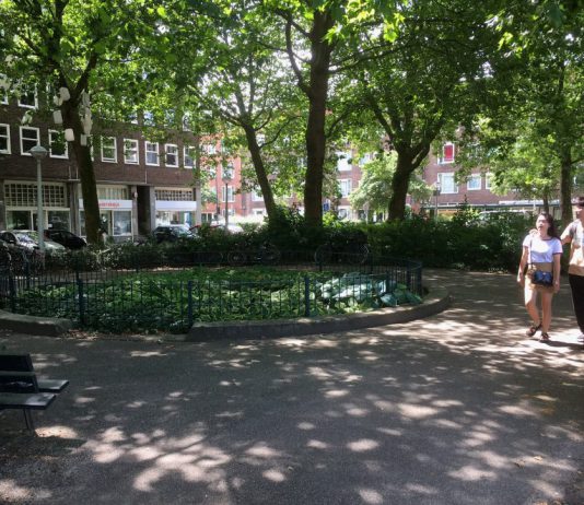 Plantsoen Solebaystraat straks lichter en gezelliger