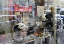 Verhipping Kinkerbuurt in beeld