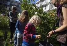 Oogstfeest in stadstuin I can change… in Bos en Lommer