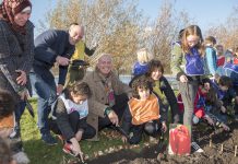 Even wachten, maar dan zijn er tulpen aan de Sloterplas