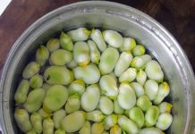 Tips voor tuinieren op je balkon: vooral veel mest en wormen