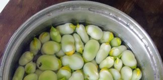 Tips voor tuinieren op je balkon: vooral veel mest en wormen