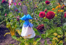 Een wormenbak en andere tips voor een fantastische balkontuin