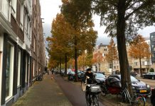 Minder bomen en parkeerplekken in Frederik Hendrikstraat
