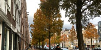 Minder bomen en parkeerplekken in Frederik Hendrikstraat