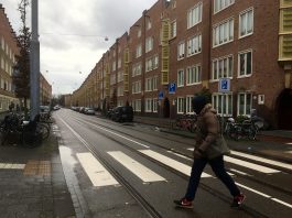 Drempels tegen racende automobilisten Witte de Withstraat