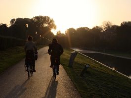 ‘Westerpark uitbreiden en meer groen in Haven-Stad’