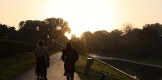 ‘Westerpark uitbreiden en meer groen in Haven-Stad’