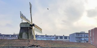 Deze kandidaat-Amsterdammers van het Jaar komen uit West en Nieuw-West