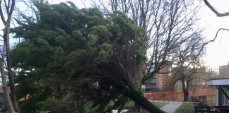 Tramverkeer plat en omgewaaide bomen door zware storm