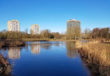 Meedenken over het Rembrandtpark via een app