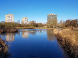 Rembrandtpark krijgt nieuwe speeltuinen en fonteinen