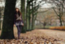 Chihuahua doodgebeten in Spaarndammerbuurt