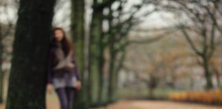 Chihuahua doodgebeten in Spaarndammerbuurt