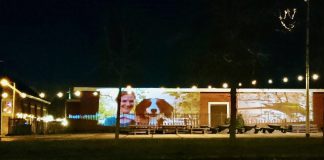 ‘Blinde muren opvrolijken met foto, kunst of gedicht’