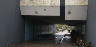 Aangevallen door hond? Dit zijn je rechten