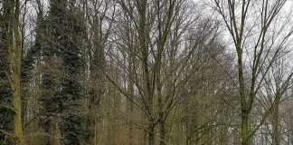 Start onderhoud Sloterpark-Oost