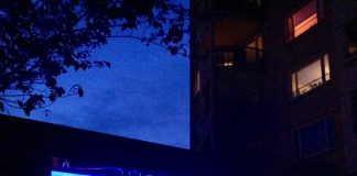 Dichter F. Starik (59) overleden