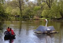 Reuzenzwaan uit Zuid voortaan in Rembrandtpark