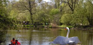Reuzenzwaan uit Zuid voortaan in Rembrandtpark