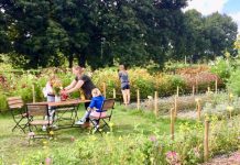Duurzame bloemen uit de Tuinen van West
