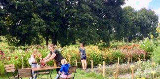 Duurzame bloemen uit de Tuinen van West