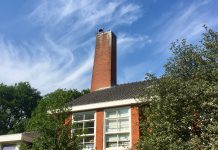 Jongen voor ooievaars Westerpark